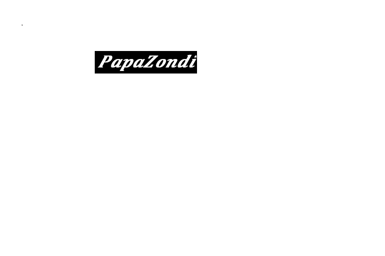 Papa Zondi Logo